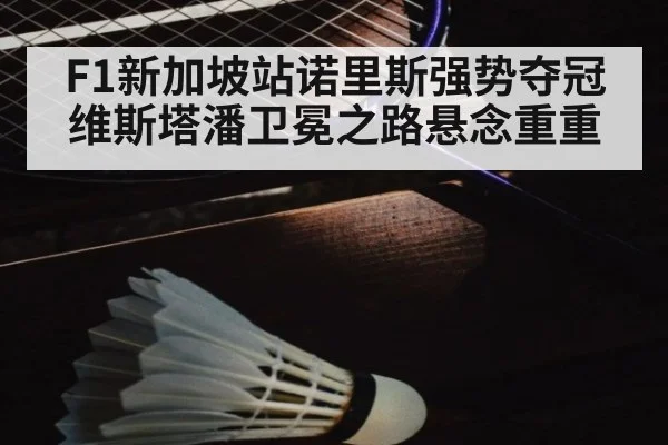 F1新加坡站诺里斯强势夺冠 维斯塔潘卫冕之路悬念重重